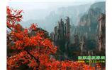 春節(jié)期間：張家界、天子山、金鞭溪自駕車精華精品游