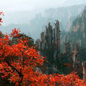 休閑自駕E線：張家界、袁家界、天子山、寶峰湖、鳳凰古城、沱江泛舟四晚五日游