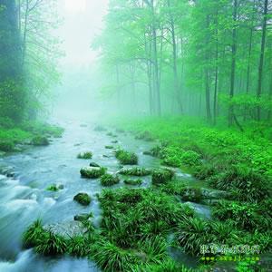 【純玩散拼尊享系列3】張家界、天子山、袁家界、黃龍洞、鳳凰三晚四日游