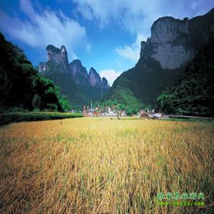 張家界往返純玩散拼：矮寨大橋、德夯苗寨、鳳凰古城、芙蓉鎮(zhèn)二日游