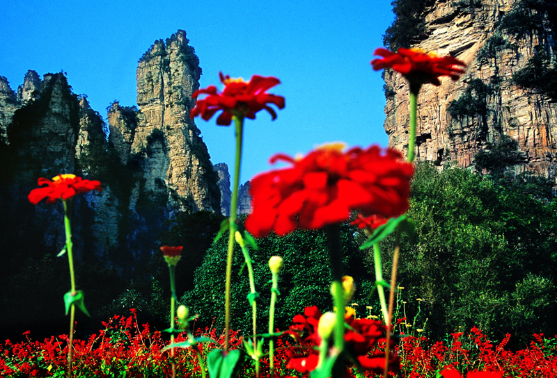 LF線：張家界國家森林公園、猛洞河漂流、鳳凰古城純玩自助五日游